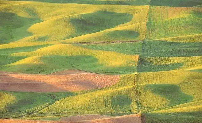 1617331885809719.jpeg 640.jpeg